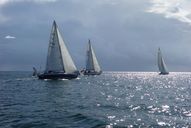 dsc00296.jpg